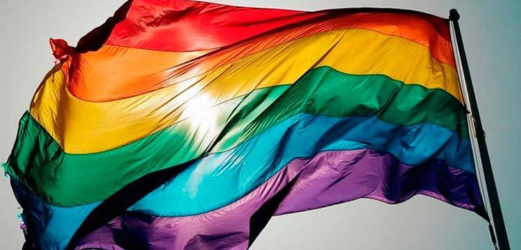 Artigo: Direitos e deveres de uma união homoafetiva  Por Paulo Eduardo Akyiama