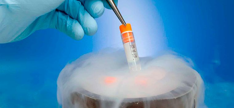 Conjur: Destino de embrião que não pode ser implantado gera divergência no STJ