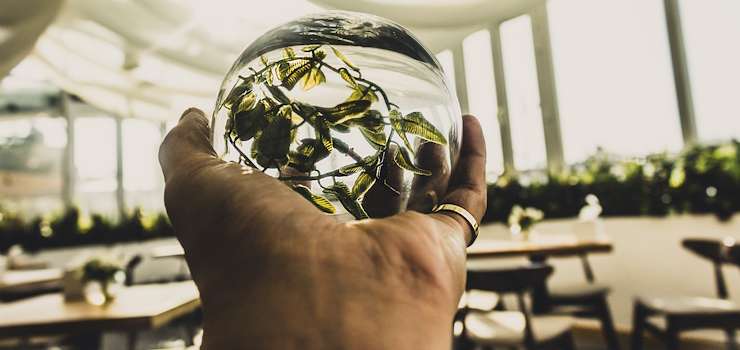 Terra: São Paulo receberá Fórum de Negócios e Finanças da COP30