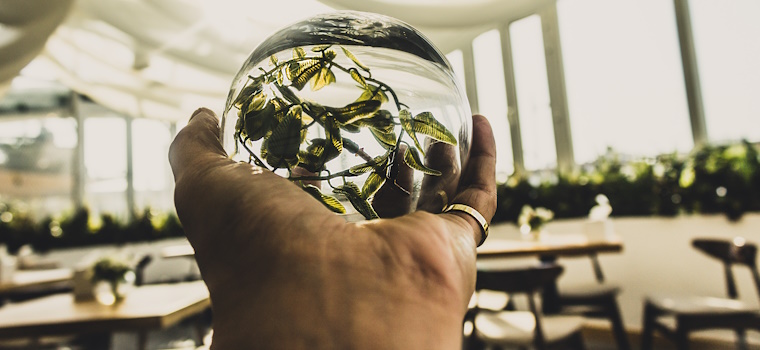 Terra: São Paulo receberá Fórum de Negócios e Finanças da COP30