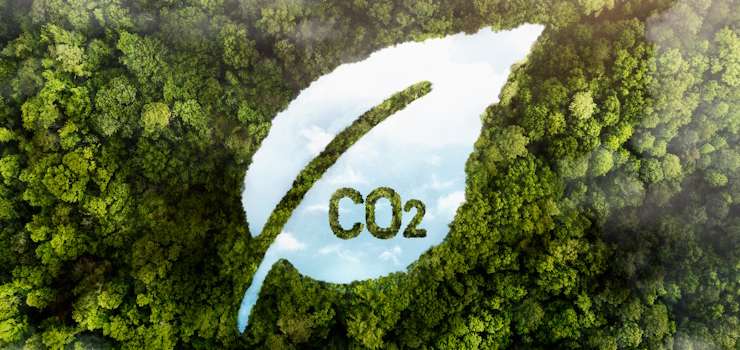 Anoreg/BR: Cartórios reforçam compromisso ambiental com adesão ao Selo CO2Free