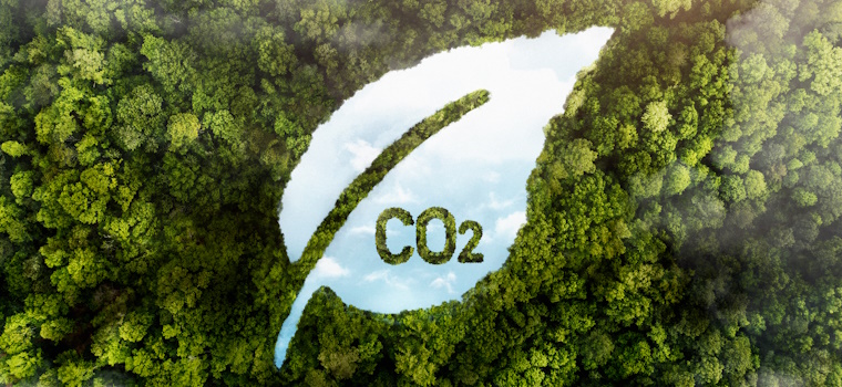 Anoreg/BR: Cartórios reforçam compromisso ambiental com adesão ao Selo CO2Free