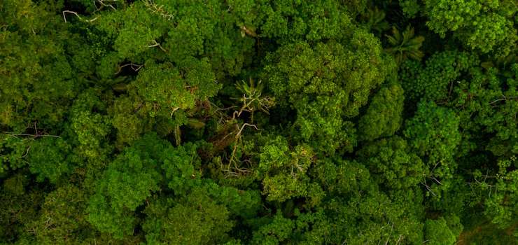 Exame: Sistemas isolados e o desafio da universalização da energia na Amazônia Legal