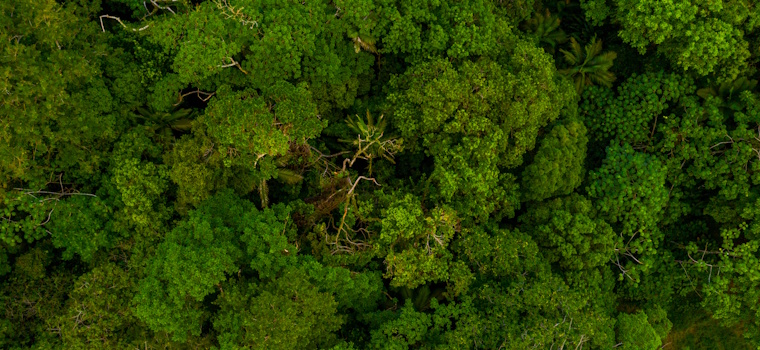 Exame: Sistemas isolados e o desafio da universalização da energia na Amazônia Legal