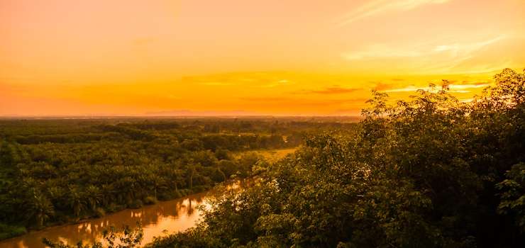 Anoreg/BR: Solo Seguro Amazônia deve regularizar quase 18 mil títulos de propriedade