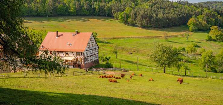 Artigo: Arrendamento de imóvel rural à luz da sua função social – por Gustavo Freitas de Oliveira Enoque