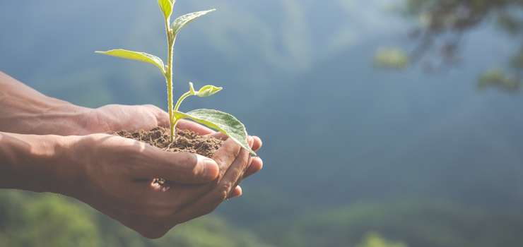 Folha de S.Paulo: Após a COP30, sustentabilidade deve deixar de ser promessa