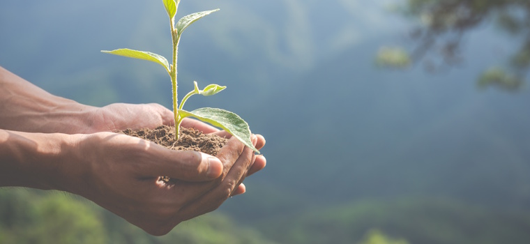 Folha de S.Paulo: Após a COP30, sustentabilidade deve deixar de ser promessa