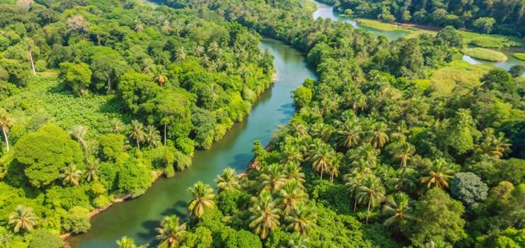 Anoreg/BR: Governo investe R$ 132 milhões em regularização fundiária na Amazônia