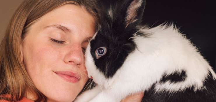 Artigo: A custódia compartilhada de animais de estimação na lei 15.392/26 e a escritura pública como instrumento de formalização pela via extrajudicial – por Larissa Aguida Vilela Pereira de Arruda e Flávia Gentil