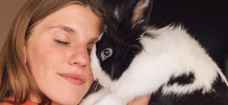 Artigo: A custódia compartilhada de animais de estimação na lei 15.392/26 e a escritura pública como instrumento de formalização pela via extrajudicial – por Larissa Aguida Vilela Pereira de Arruda e Flávia Gentil