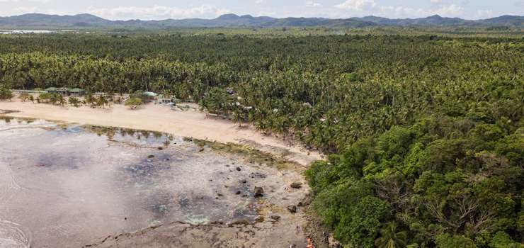 Artigo: Reserva Legal no Brasil: um olhar atualizado sobre o tema – por Felipe Mendes de Godoy