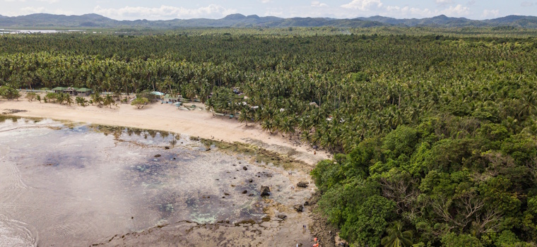 Artigo: Reserva Legal no Brasil: um olhar atualizado sobre o tema – por Felipe Mendes de Godoy