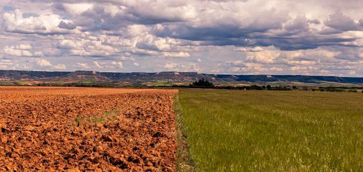 Migalhas: Ação no STF aponta omissão regulatória em renegociação de dívida rural