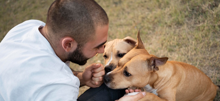 Artigo: Guarda compartilhada de pets pode sobrecarregar a Justiça? – por Andreia Soares Calçada