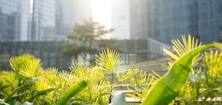 Exame: Natureza e resiliência: o novo imperativo dos negócios