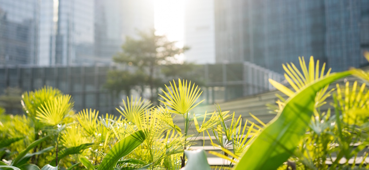 Exame: Natureza e resiliência: o novo imperativo dos negócios