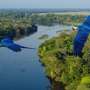 Artigo: Um mergulho na Amazônia Azul – Carmen Silvia Lima de Arruda