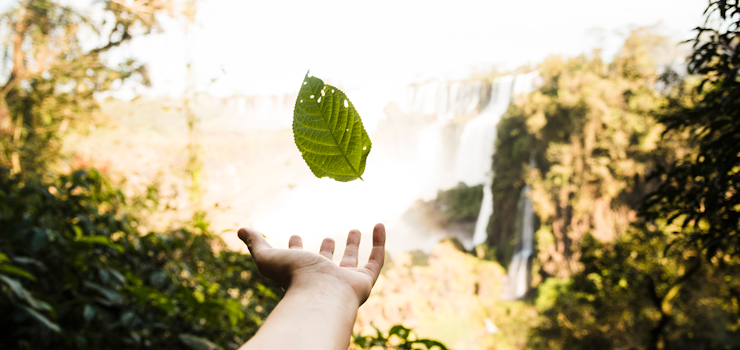 Artigo: Tributação e direito fundamental ao meio ambiente ecologicamente equilibrado – por Rodrigo Cesar Caldas de Sá