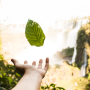 Artigo: Tributação e direito fundamental ao meio ambiente ecologicamente equilibrado – por Rodrigo Cesar Caldas de Sá